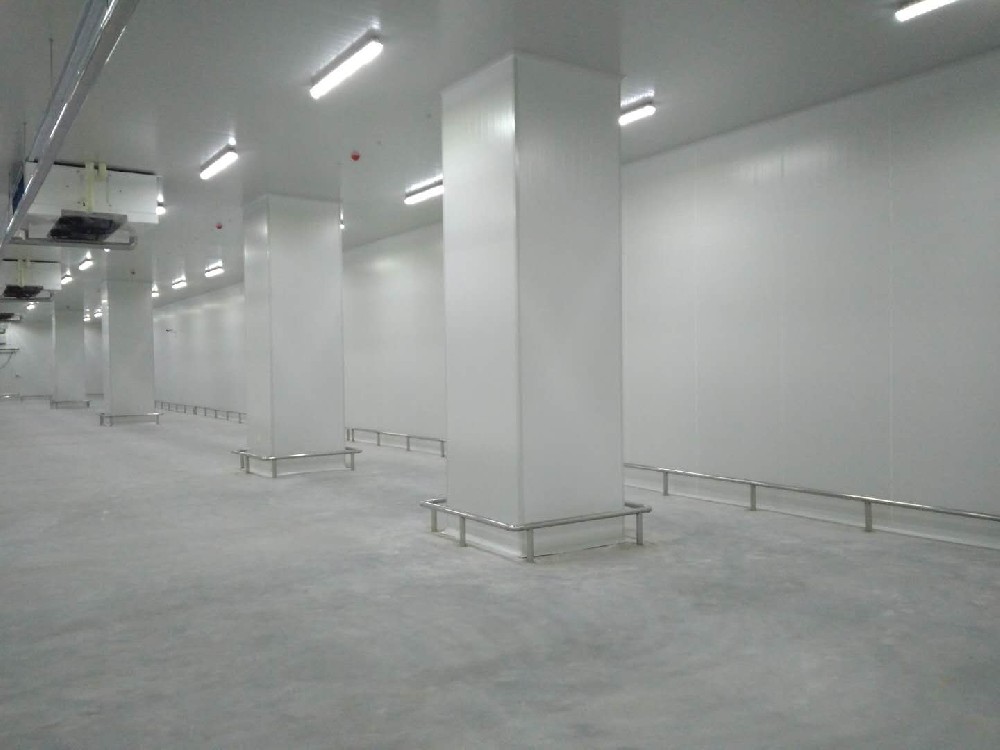 建造200噸的肉類冷鏈冷凍庫如何做好規劃設計？