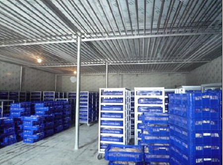 -18~-23℃冷凍庫哪種制冷方式好?(冷風(fēng)機(jī),鋁排)