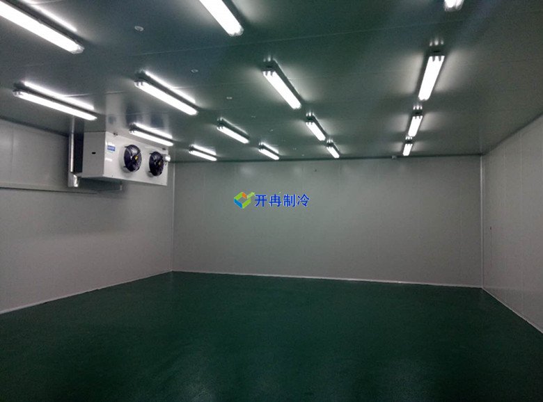 藥品冷凍庫建設(shè)標準規(guī)范及建造預算包含哪些